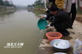 生態修復，漁業振興——浦北縣水產畜牧獸醫局成功舉辦漁業資源人工增殖放流活動